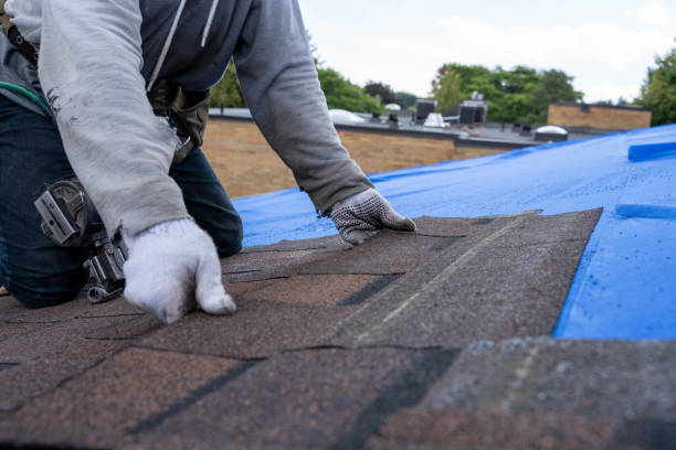 Best Storm Damage Roof Repair  in Marinette, WI